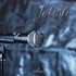 CD: Silver Fetish (USA), Oct-2000