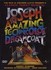DVD: Joseph And The Amazing Technicolor Dreamcoat 1999