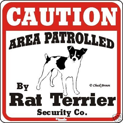 Rat Terrier Caution Dog Sign - Many ...