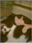 hot_deals_alldaway