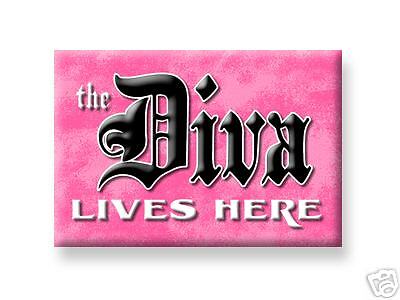 DIVA LIVES HERE Magnet Queen Princess office Fridge  