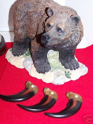 BEAR CLAWS / GRIZZLYS Replicas ( Gr Cl   3 4 1/2)  