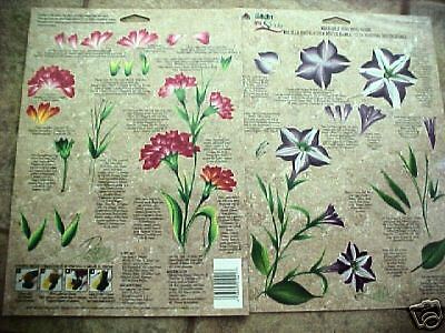 Donna Dewberry One Stroke RTG Petunia/Carnation NEW OOP  