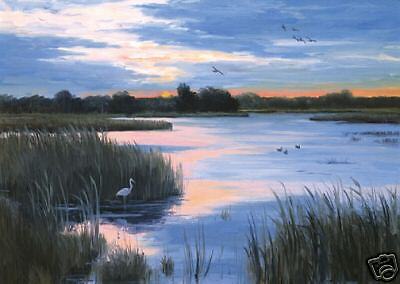 Florida EGRET & SUNSET MARSH Signed Giclee on Canvas  