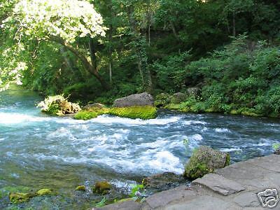 big springs big beauty for lovers of nature all my friends are from 