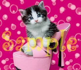 KITTEN IN PINK HIGH HEEL SHOE Italian Charm cat kitty  