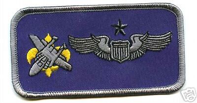 USAF 122ND FS F 15 FLIGHT SUIT SENIOR PILOT NAME TAG  