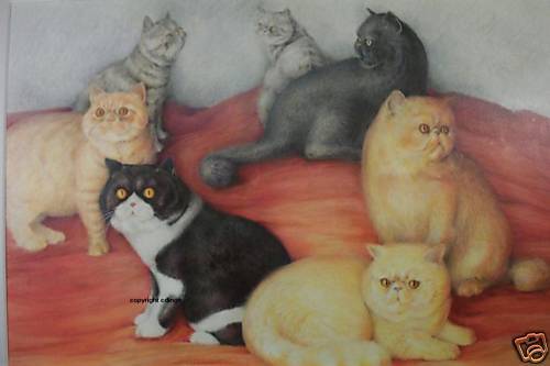 ORIGINAL EXOTIC SHORTHAIR CAT ART DRAWING PAINTING  