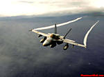 wrichard31